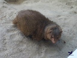 Tiergarten Schönbrunn am 24.02.2026